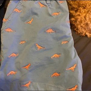 Dinosaur chubbies shorts (Dino, shorts)
